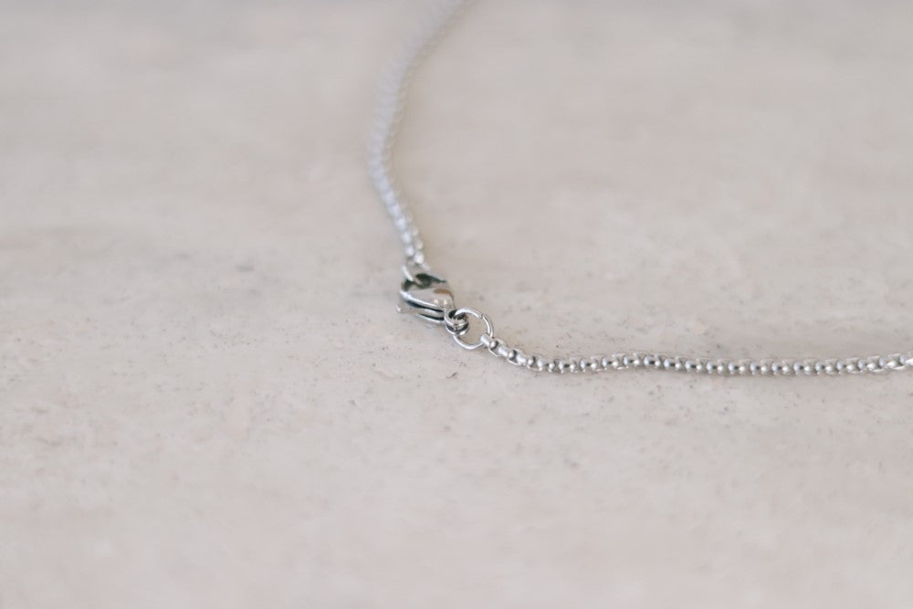 Star of David necklace for men am yisrael chai lion jewish gift from Israel