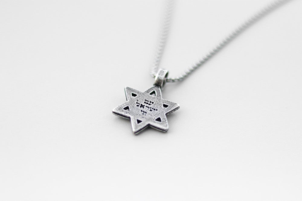 Star of David necklace for men am yisrael chai lion jewish gift from Israel