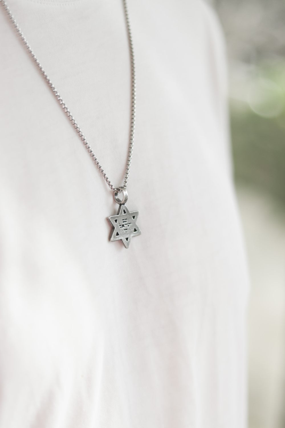 Star of David necklace for men lion jewish gift from Israel