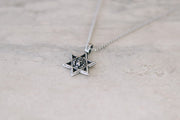 Star of David necklace for men am yisrael chai lion jewish gift from Israel