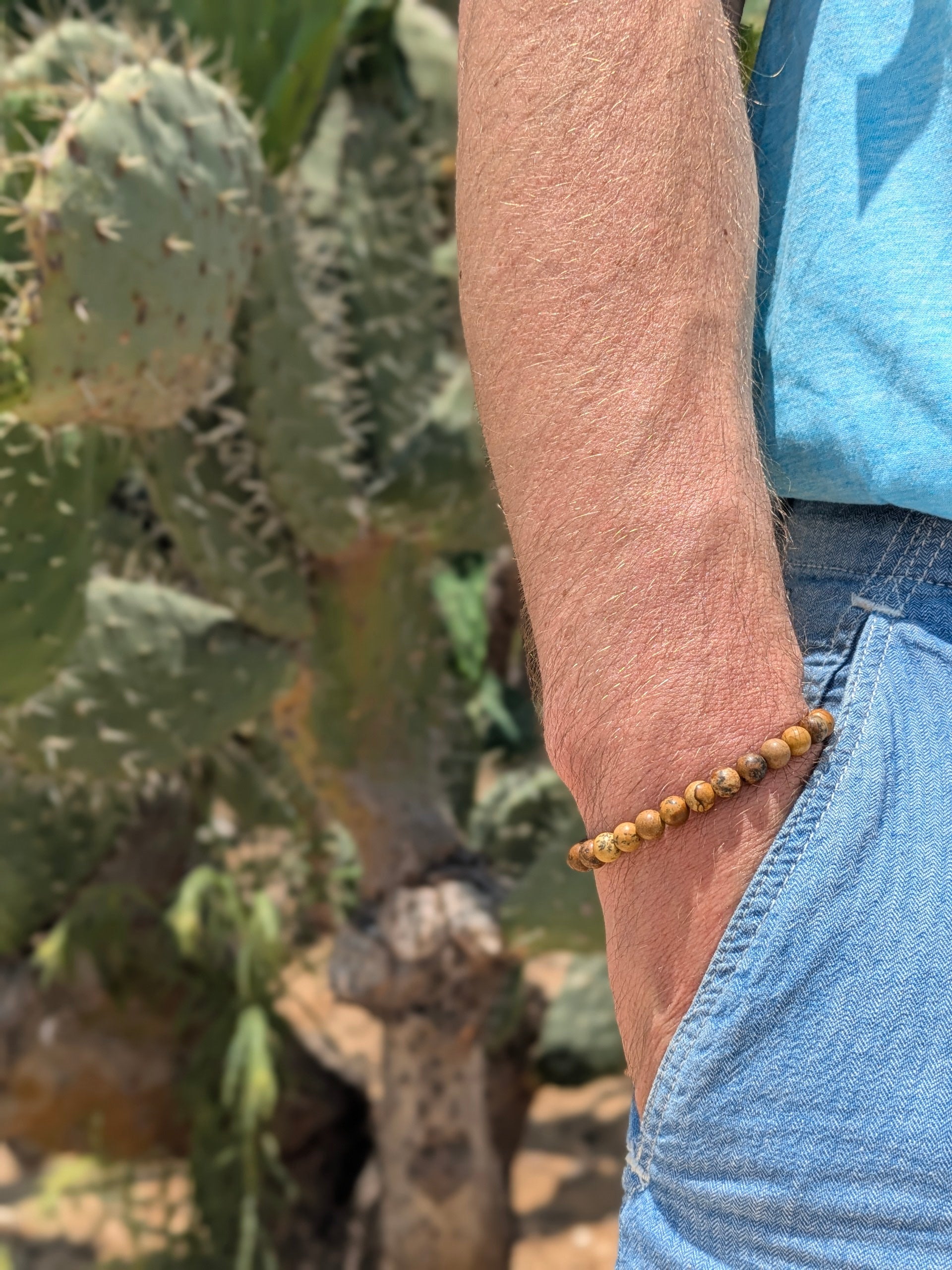 Picture Jasper bracelet for men, brown beaded men's bracelet, grounding beads stone, gemstone gift for him stretchable boho beads bracelet