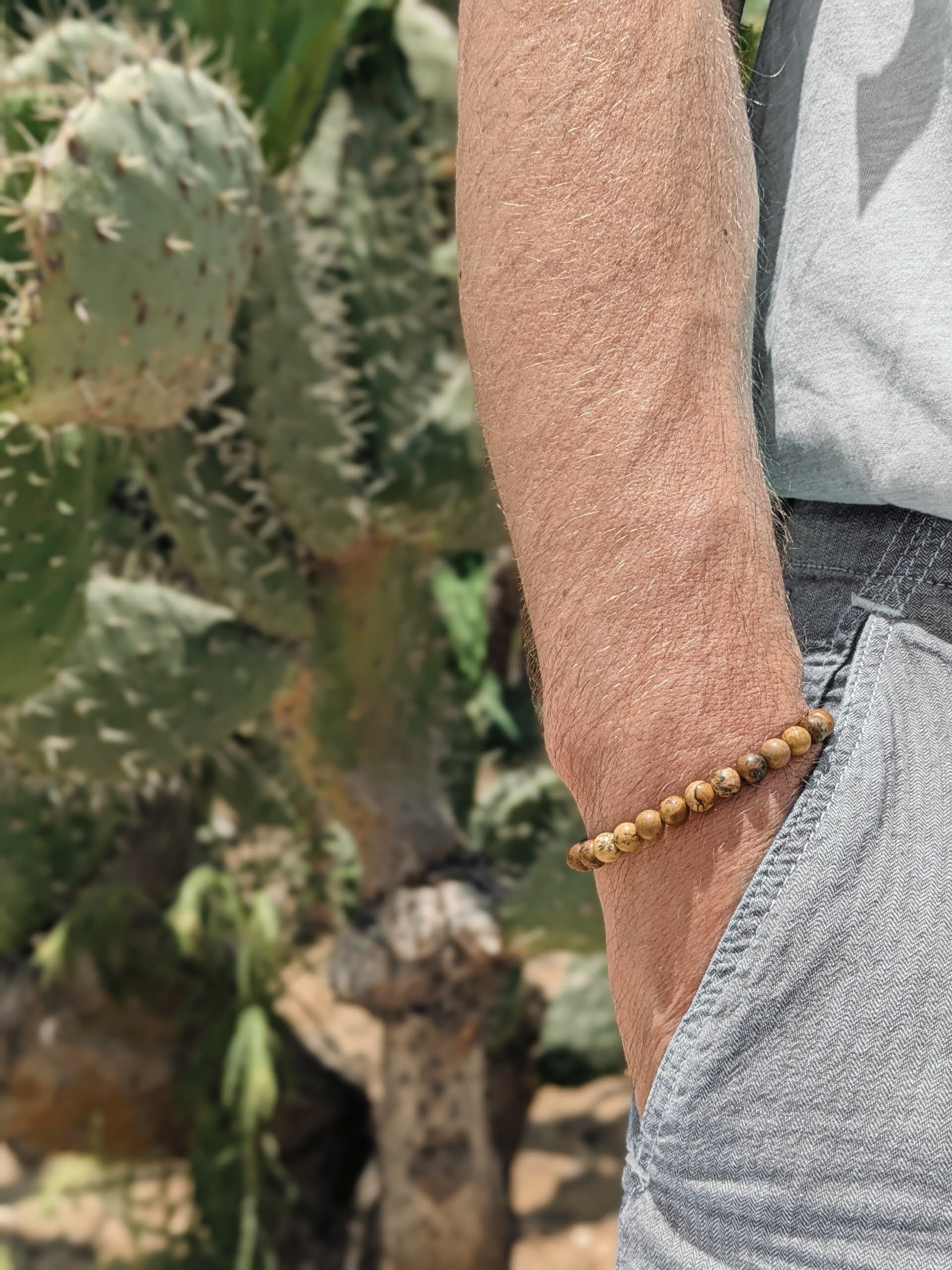 Picture Jasper bracelet for men, brown beaded men's bracelet, grounding beads stone, gemstone gift for him stretchable boho beads bracelet