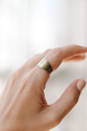 bronze flat ring for women - shani and Adi Jewelry